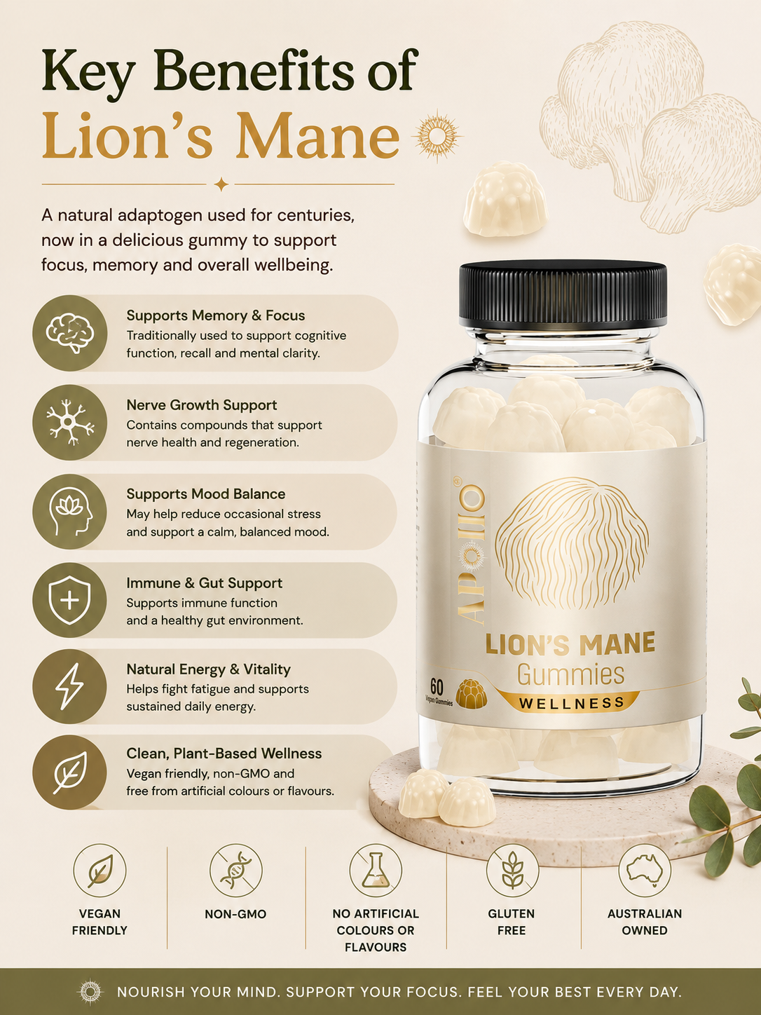 Lion’s Mane Gummies