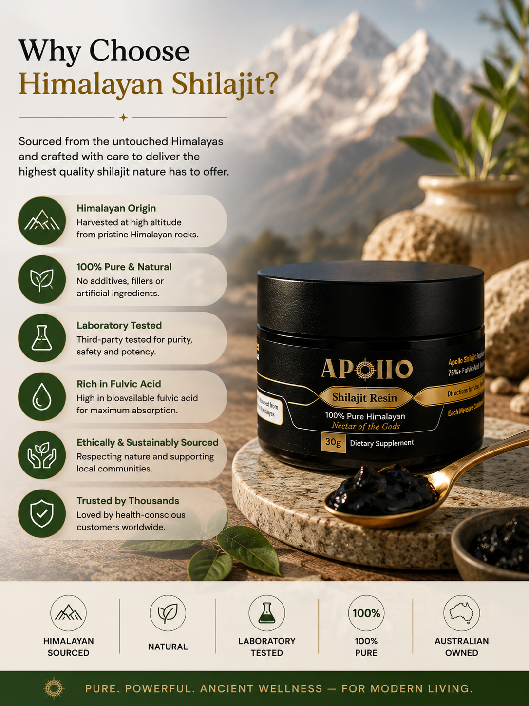 Shilajit Resin